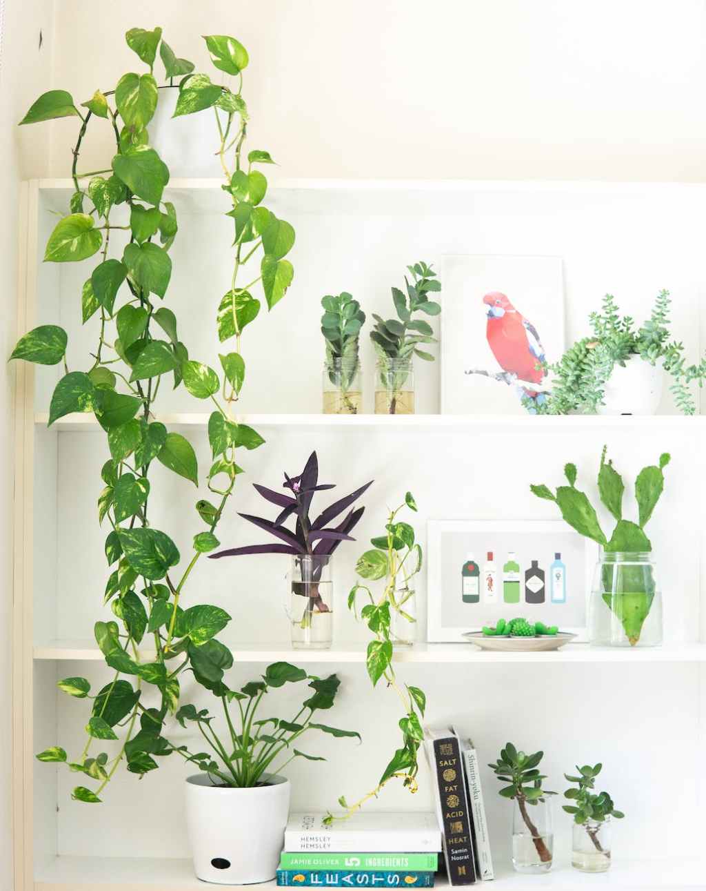 068: 2023 House Plant Trends